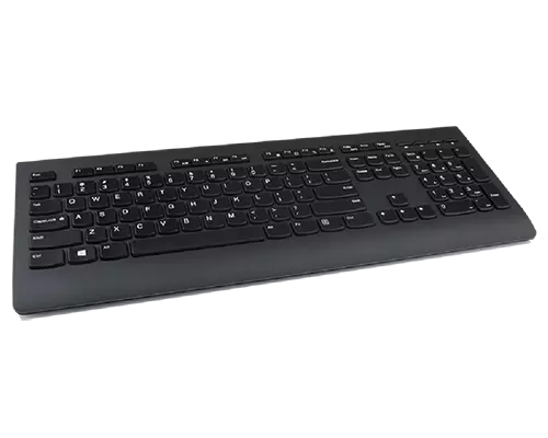 Lenovo Professional Wireless Keyboard and Mouse Combo_v9