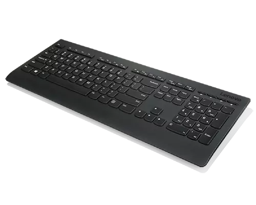 Lenovo Professional Wireless Keyboard and Mouse Combo_v8