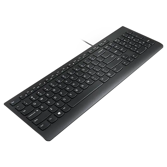 

Lenovo Essential Wired Keyboard (Black) - UK English 166