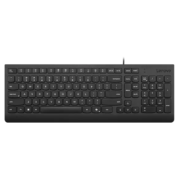 Lenovo Keyboard (Traditional Chinese) Silver 01LV075 (Silver)　並行輸入品 New Macs, Lenovo laptop make traditional keyboards touchy