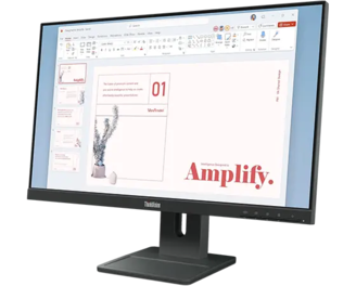 ThinkVision 23.8 inch IPS FHD 100Hz Monitor - E24-40 | 64BAMAR1UZ