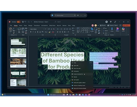 File explorer with bamboo-themed folders, highlighting organization features on Lenovo YOGA 9i 2-in-1 Gen 11. מחשב נייד Yoga 9 2-in-1 Aura Edition 14IPH11 83SE001MIV מבית Lenovo