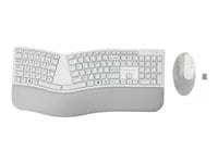 Kensington Pro Fit Ergo Wireless Keyboard and Mouse - keyboard and mouse set - US - gray