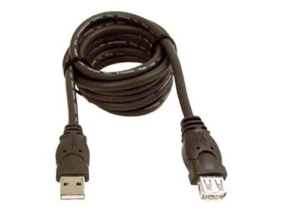 Photos - Cable (video, audio, USB) Belkin 3ft USB A/A 2.0 Extension Cable, M/F, 480Mps - USB extension cable 