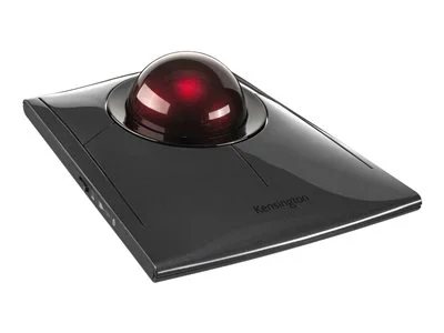 ThinkVision-E20-30-49.53cms-_19.5_-Monitor-gallery-1.jpg