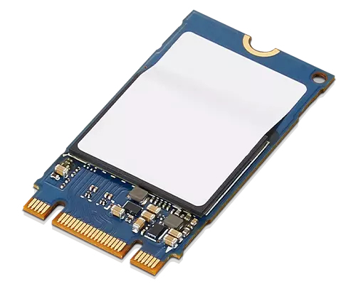 ThinkPad 256GB PCIe NVMe OPAL2 M.2 2280 SSD | Lenovo US