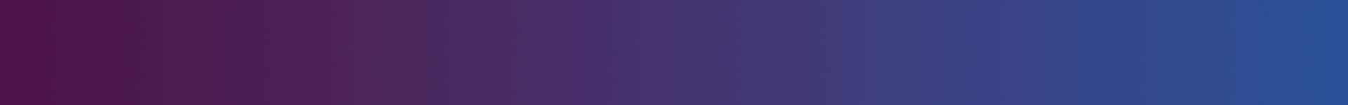 サマーフェスティバル