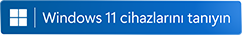 Windows logo