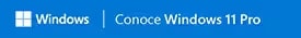 Windows 11 Pro