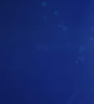 Background Image Alt