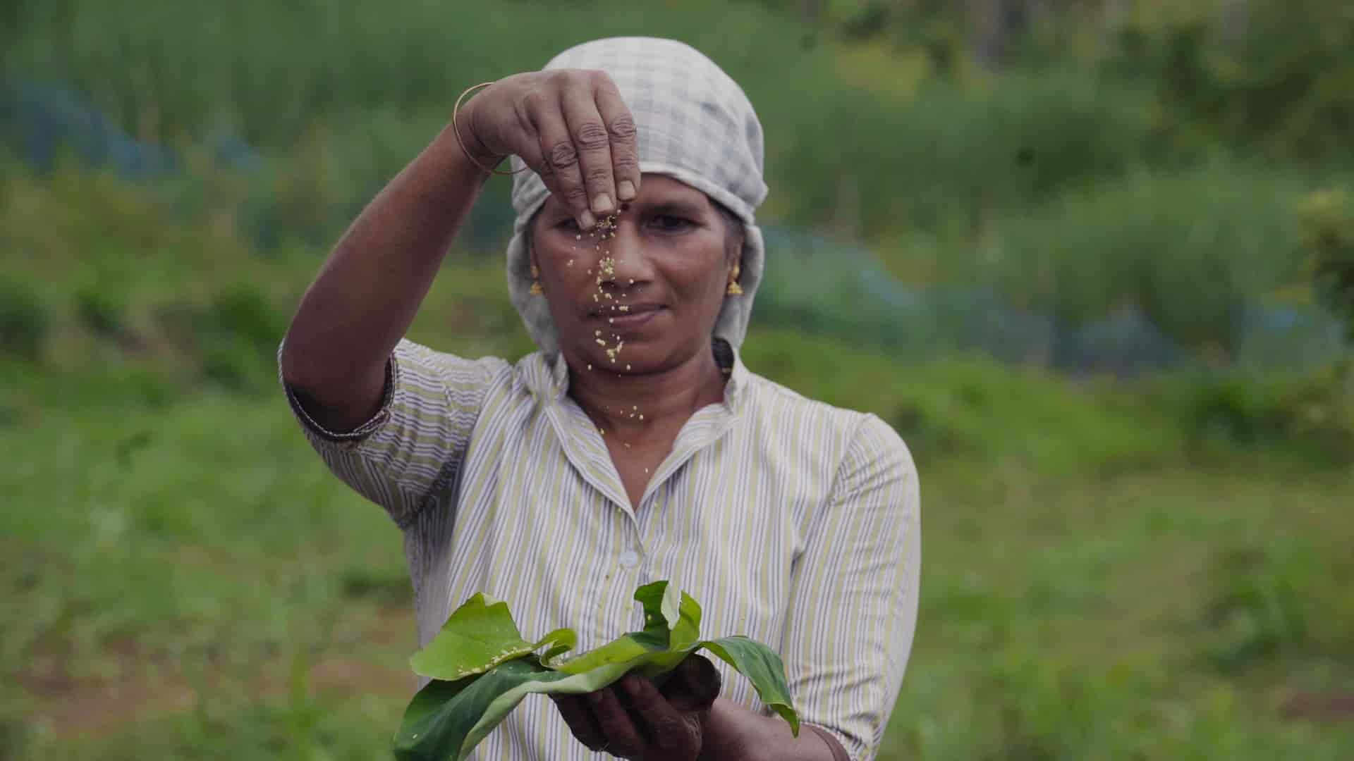 Community Impact Around the World