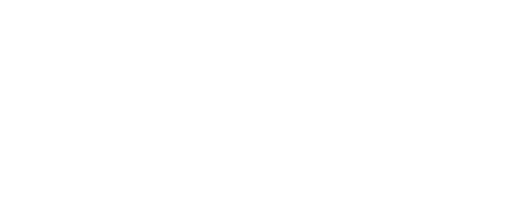 Premier Support