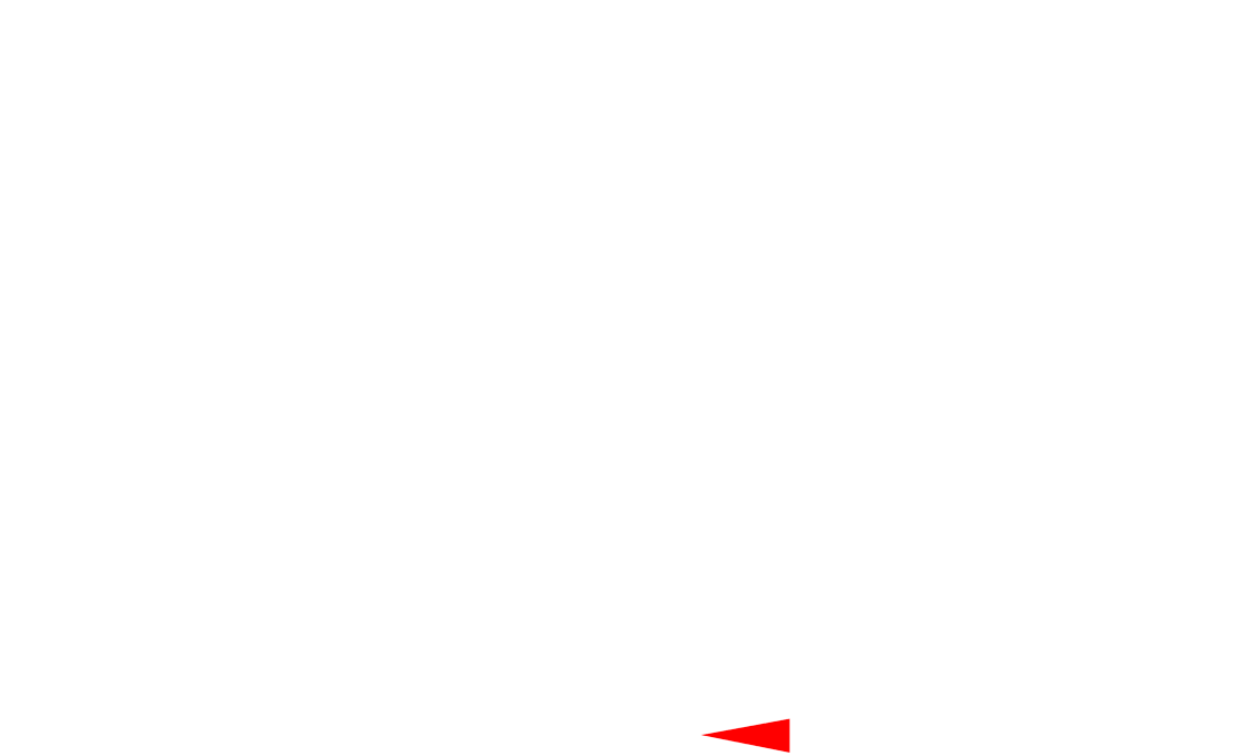 Disposition de la grille de course