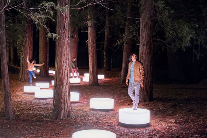 People walking on lights in a forest