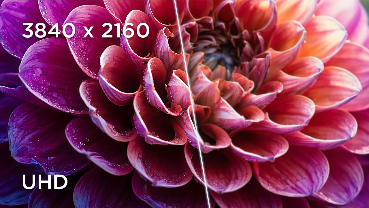 A 31.5-inch UHD (3840 x 2160) monitor