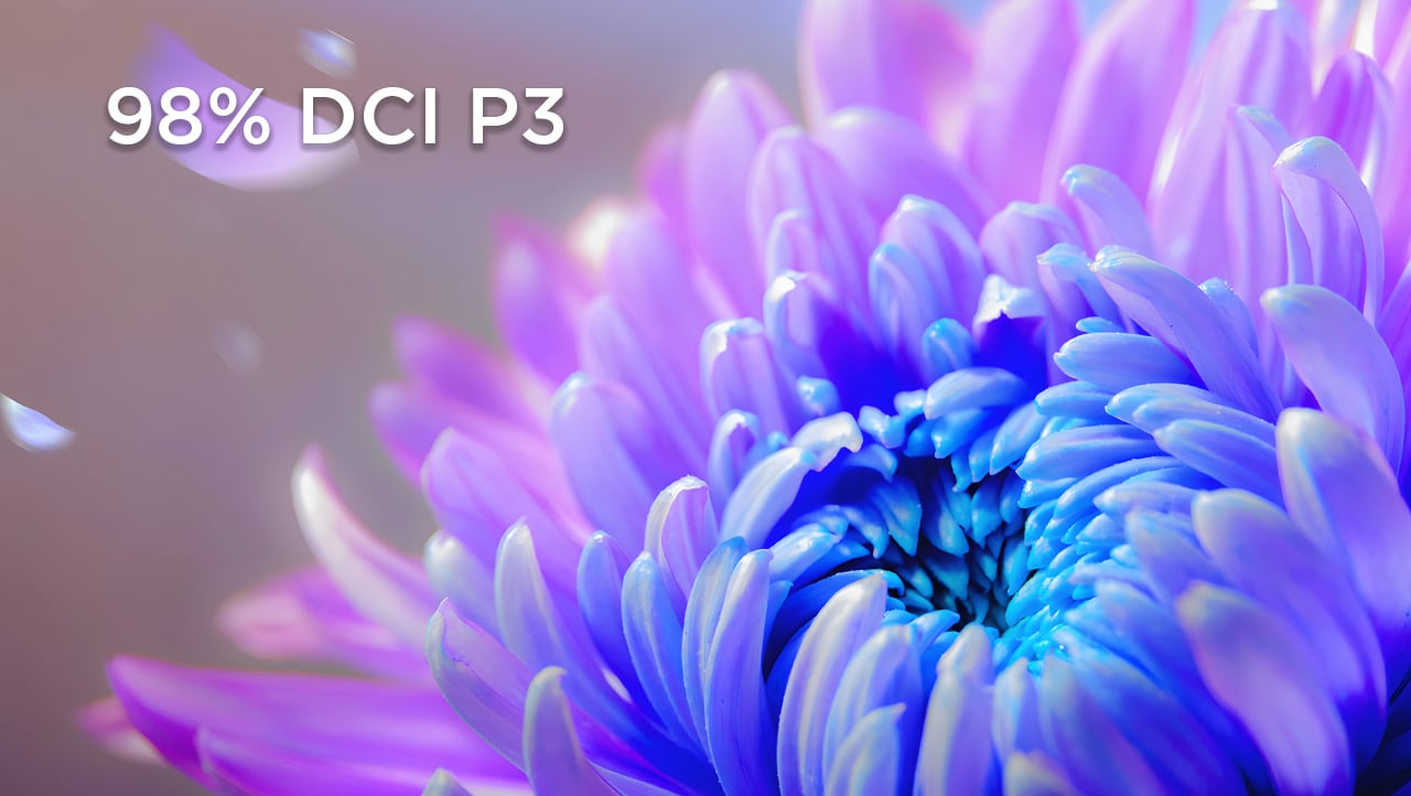 98% DCI P3 with delta E<2 color calibration