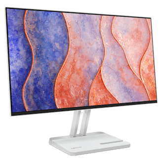 Lenovo L24-4C 24