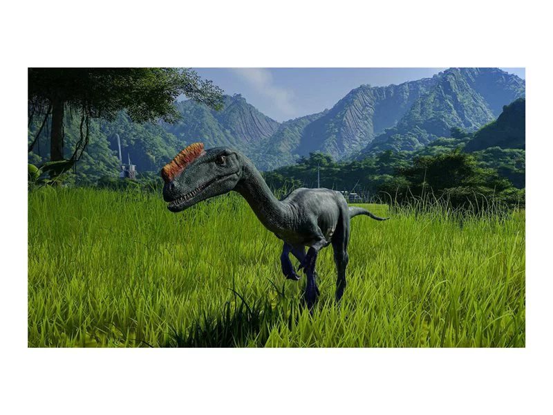 256A45FD-4426-4996-8BA2-E30277B62833_800x600_1678690275444.jpg