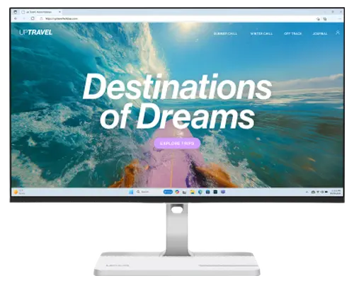 Lenovo L24D-4C 23.8-inch Monitor