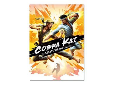 

Cobra Kai The Karate Kid Saga Continues - Windows