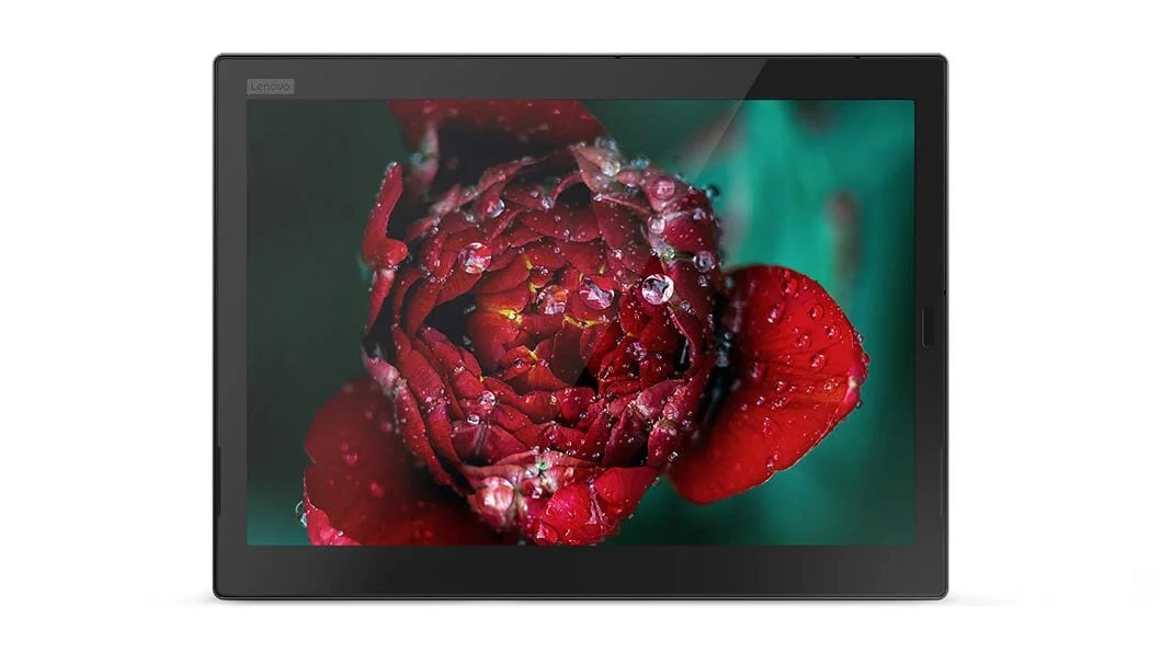 Detail of moisture on rosebud, on the Lenovo ThinkPad X1 Tablet 3k display.