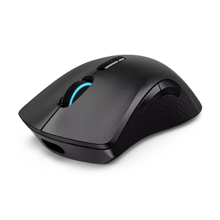 GY50X79385-mouse.png